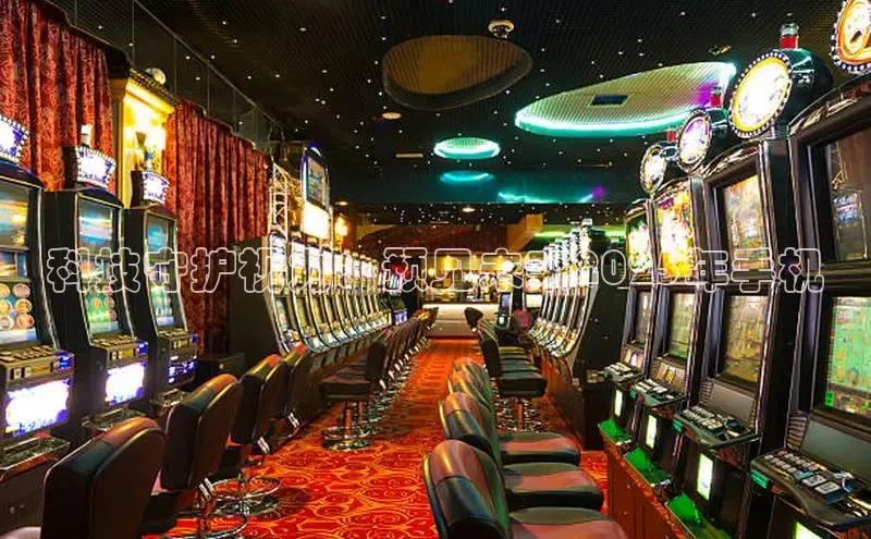 科技守护视力：预见未来2025年手机